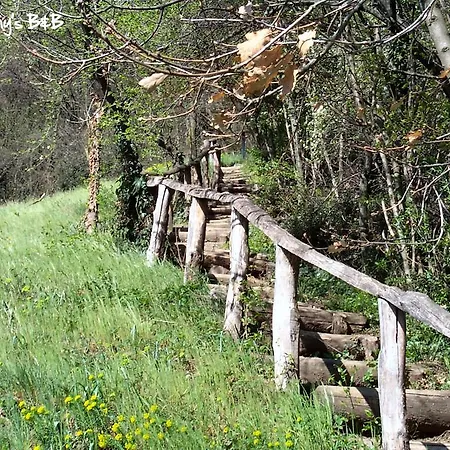 Couette-café Bob And Jenny's Vicence