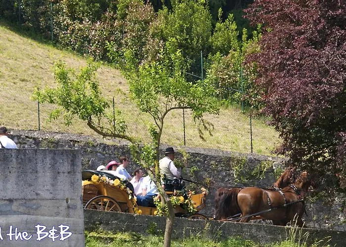 Bob And Jenny's * Vicenza